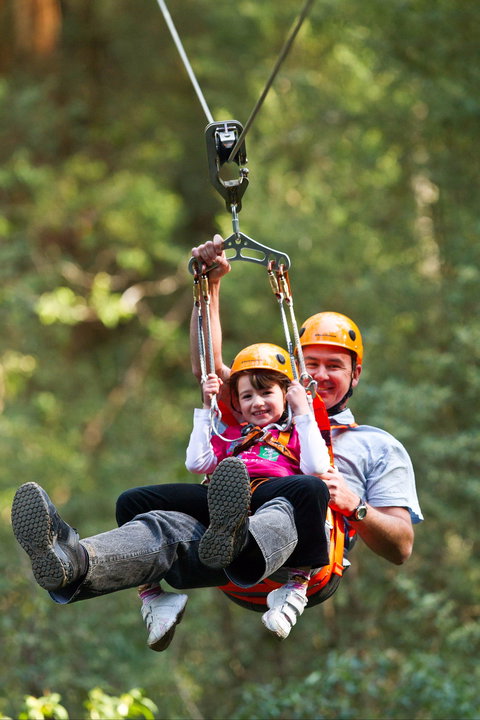 Zipline At Illawarra Fly - Attractions Perth 0