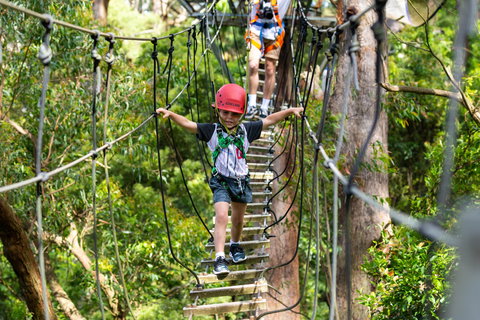 Zipline At Illawarra Fly - Attractions Perth 1