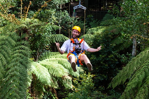 Zipline At Illawarra Fly - Attractions Perth 2