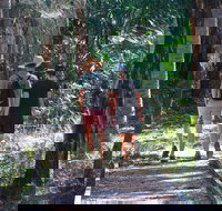 Banksia Track Burrum Coast National Park