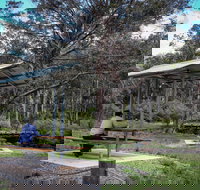 Barrington Tops State Forest