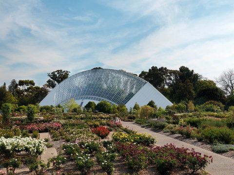 Bicentennial Conservatory - Attractions Perth 0