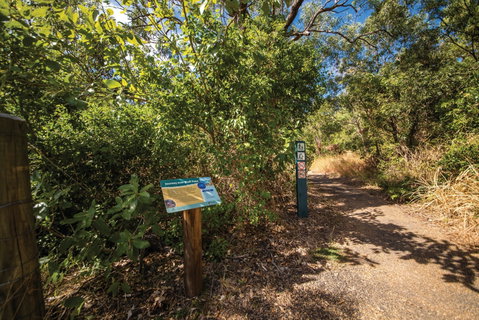 Bluff Point Circuit, Capricorn Coast National Park - Attractions Perth 1