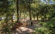 Bluff Point Circuit, Capricorn Coast National Park - thumb 2