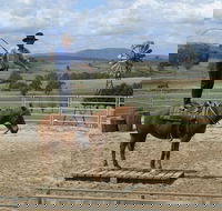 Boggy Creek Show - Attractions Perth