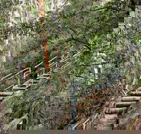Caleys Lookout Track - Attractions Perth