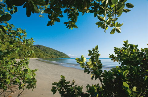 Cape Tribulation, Daintree National Park - Attractions Perth 1