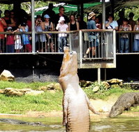 Crocodylus Park and Zoo - Attractions Perth