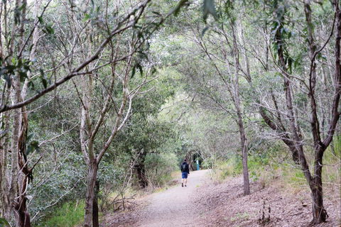D'Aguilar National Park - Attractions Perth 2