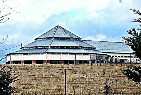 Deeargee Woolshed - Attractions Perth 0