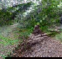 Double Wharf Trail - Attractions Perth