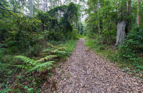 Double Wharf Trail - Attractions Perth 0