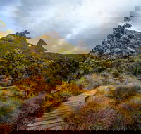 Dove Lake - Attractions Perth