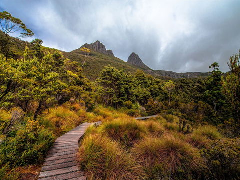Dove Lake - Attractions Perth 0