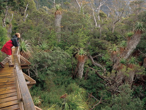 Dove Lake - Attractions Perth 1