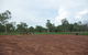 Durack Memorial - thumb 2