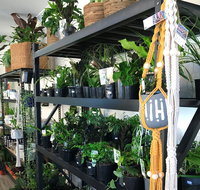 Fancy Plants - Attractions Perth