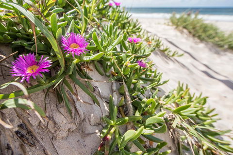 Fort Bribie - Attractions Perth 0
