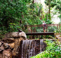 George Brown Darwin Botanic Gardens - Attractions Perth