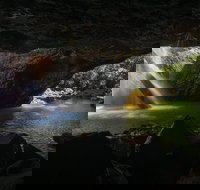 Gondwana Rainforests of Australia World Heritage Area - Attractions Perth