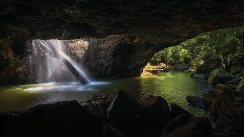 Gondwana Rainforests Of Australia World Heritage Area - Attractions Perth 0