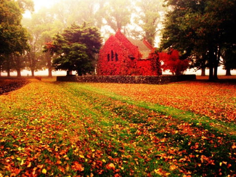 Gostwyck Chapel - Attractions Perth 0