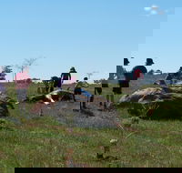 Jim Salmon  Wetland Education Site - Attractions Perth