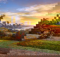 Kings Park and Botanic Garden - Attractions Perth