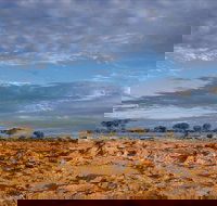 Menzies - Attractions Perth