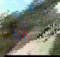 Meningie Lions Walking Trail - Attractions Perth