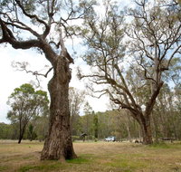 Moolarben Picnic Area - Attractions Perth