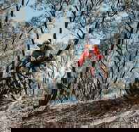 Mountain Bike Trails Deniliquin - Attractions Perth