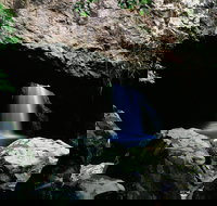 Natural Bridge Circuit Springbrook National Park - Attractions Perth