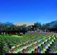 Palmview - Attractions Perth