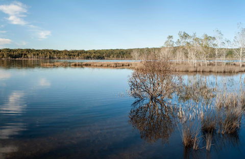 Pattimores Lagoon - Attractions Perth 0