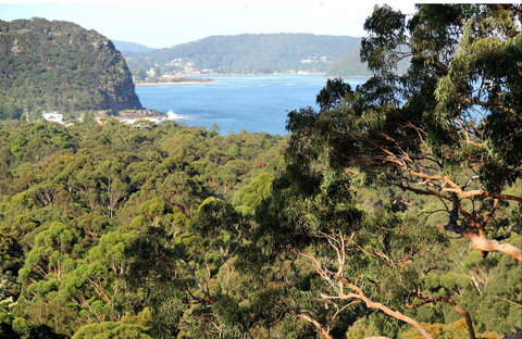 Patonga To Pearl Beach Walking Track - Attractions Perth 0