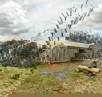 Patons Hut walking track