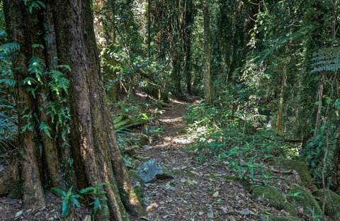 Pholis Gap Walking Track - Attractions Perth 0