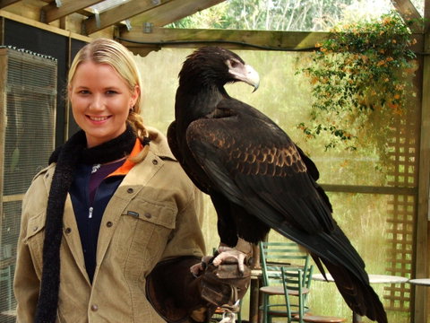 Raptor Domain - Attractions Perth 0