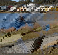 Sculpture Trail at Lake Crackenback Resort and Spa - Attractions Perth