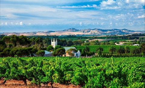 Seppeltsfield Road Barossa Valley - Attractions Perth 1