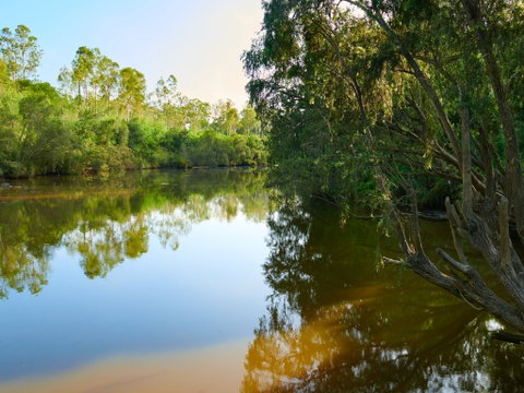 Shapcott Park - Attractions Perth 1