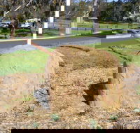 Stratford Historical Society and Museum - Attractions Perth