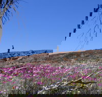 Talgomine Reserve - Attractions Perth