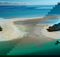 Turtle Discovery - Attractions Perth
