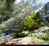 Wadbilliga Road drive - Attractions Perth