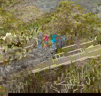 Walpole Wilderness Discovery Centre - Attractions Perth