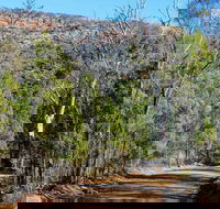 Weddin Gap to Black Spring Loop Trail - Attractions Perth
