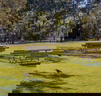 Wombeyan picnic area - Attractions Perth