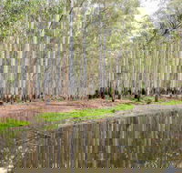 Wonga Wetlands - Attractions Perth